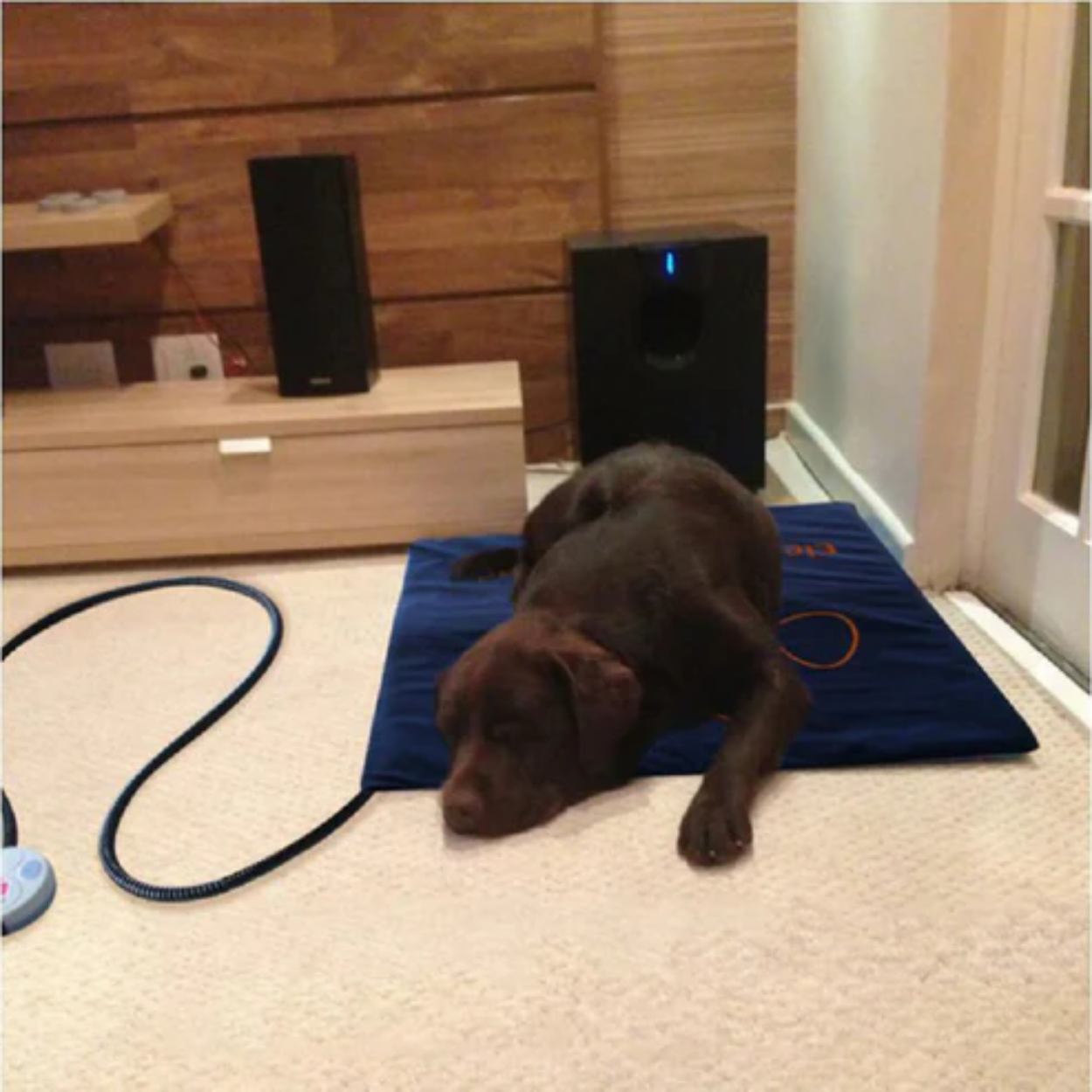 Tapis chauffant pour animaux de compagnie électrique doux