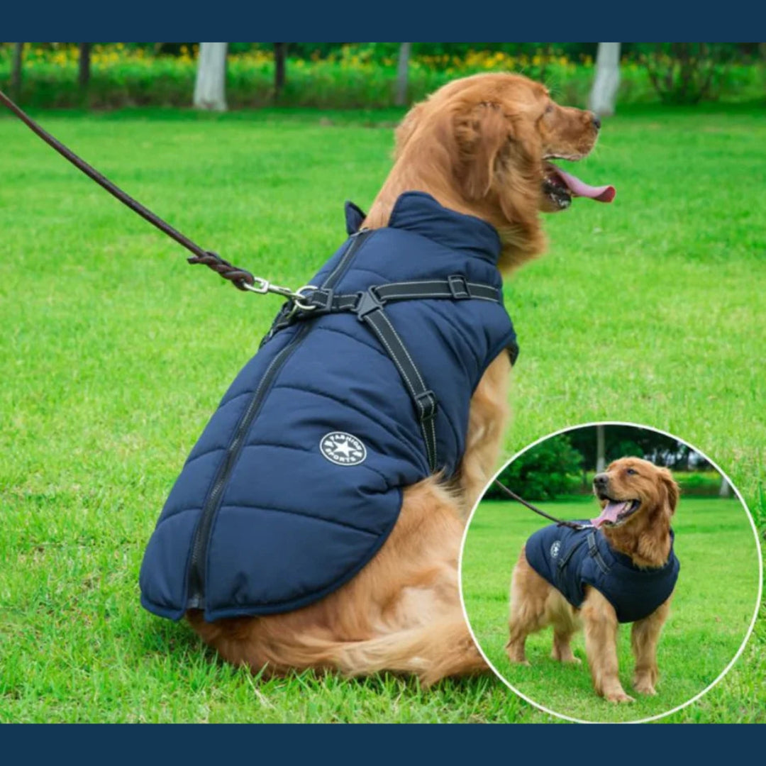 Gilet pour chien doux et imperméable