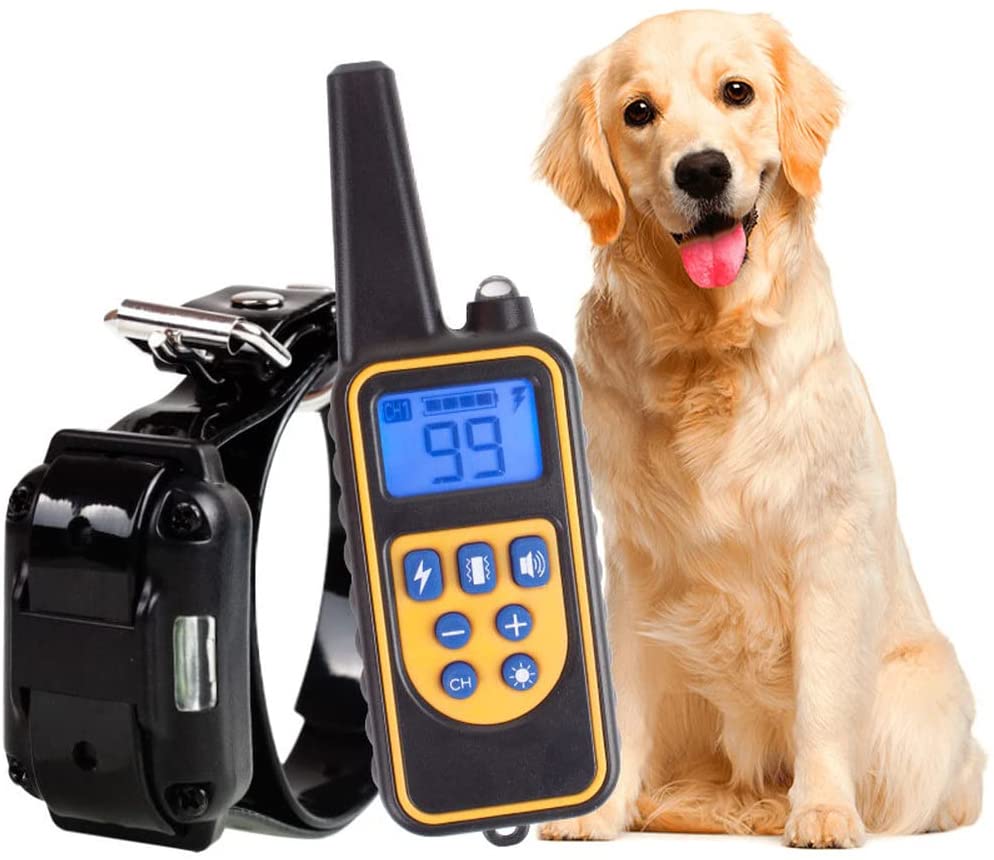 Collier d'entraînement chien étanche avec télécommande à longue portée - Foivo