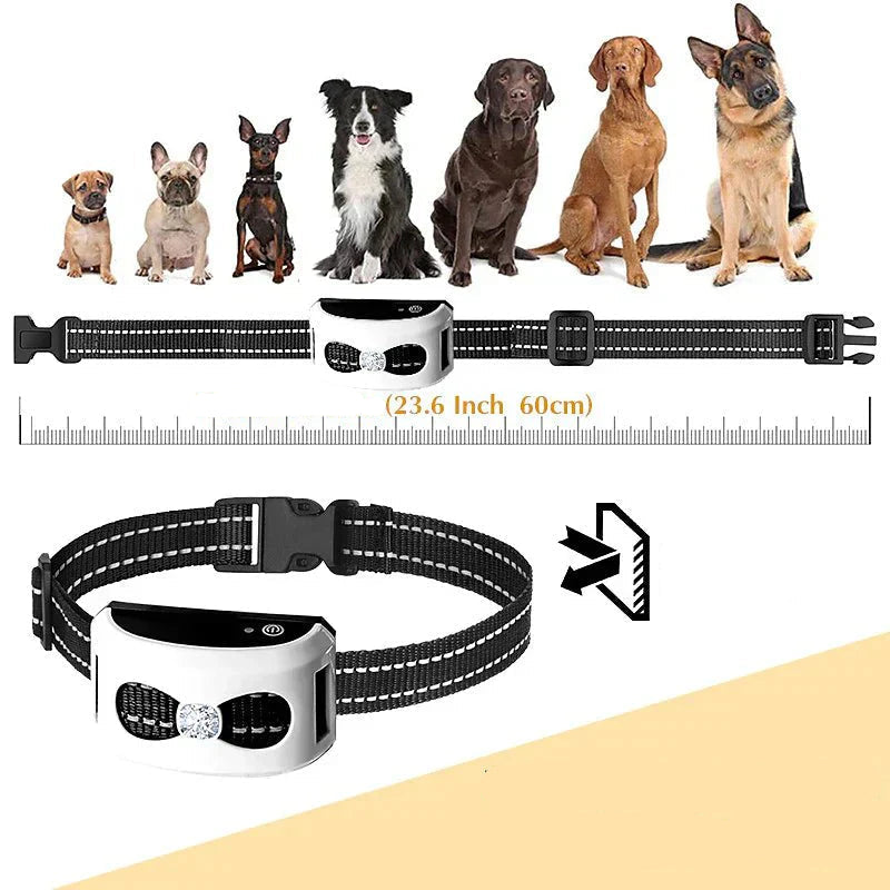 Marcherelle™ – Collier Electrique de Dressage pour Chien avec Zone de Sécurité Réglable
