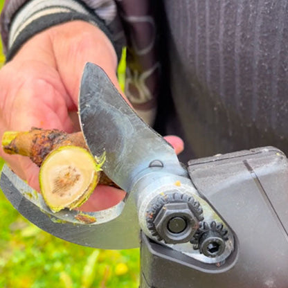 Marcherelle™ – Sécateur Électrique Sans Fil Professionnel