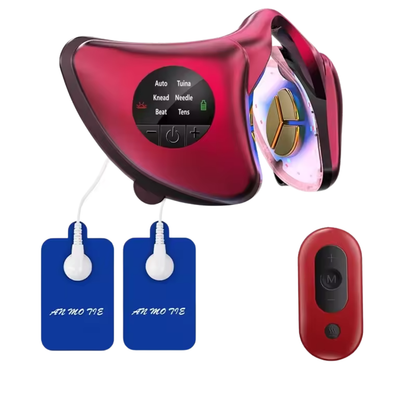 Masseur Visage Électrique Avancé
