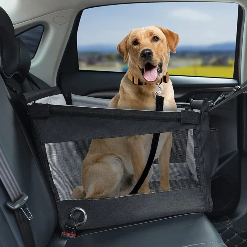 Panier de Transport Chien pour Voiture