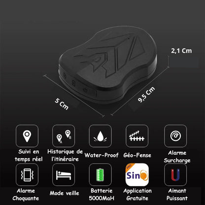 Traceur GPS Voiture 4G avec Batterie Longue Durée
